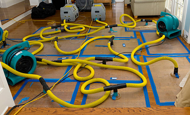 Professional Crawl Space Water Removal technician working in New Bavaria, OH